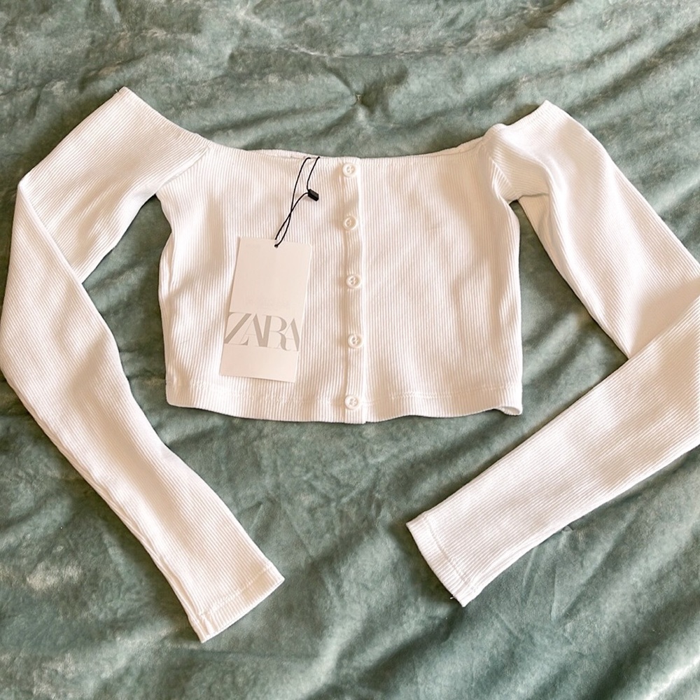 Zara Long Sleeve Crop Top